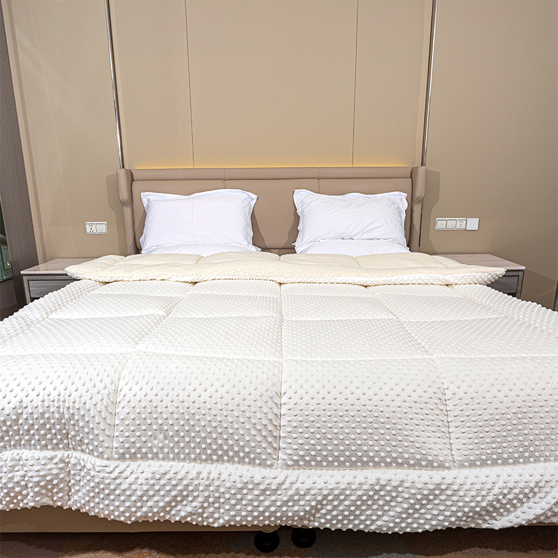 Minky Dots Lamb Fleece Comforter, Double Fabric Super Soft Warm Duvet Velvet dày Mùa đông ấm áp Chấm sang sang trọng lông cừu lông cừu mùa đông